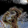 Swamp Monster